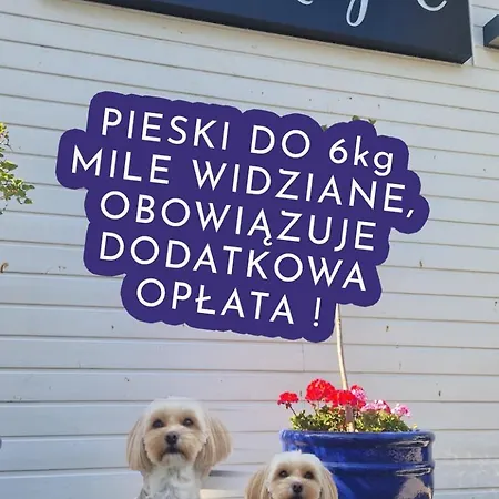 Na Klifie Wypoczynek&spa *