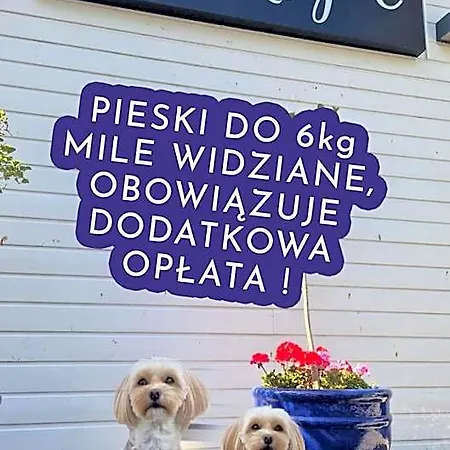 Na Klifie Wypoczynek&spa